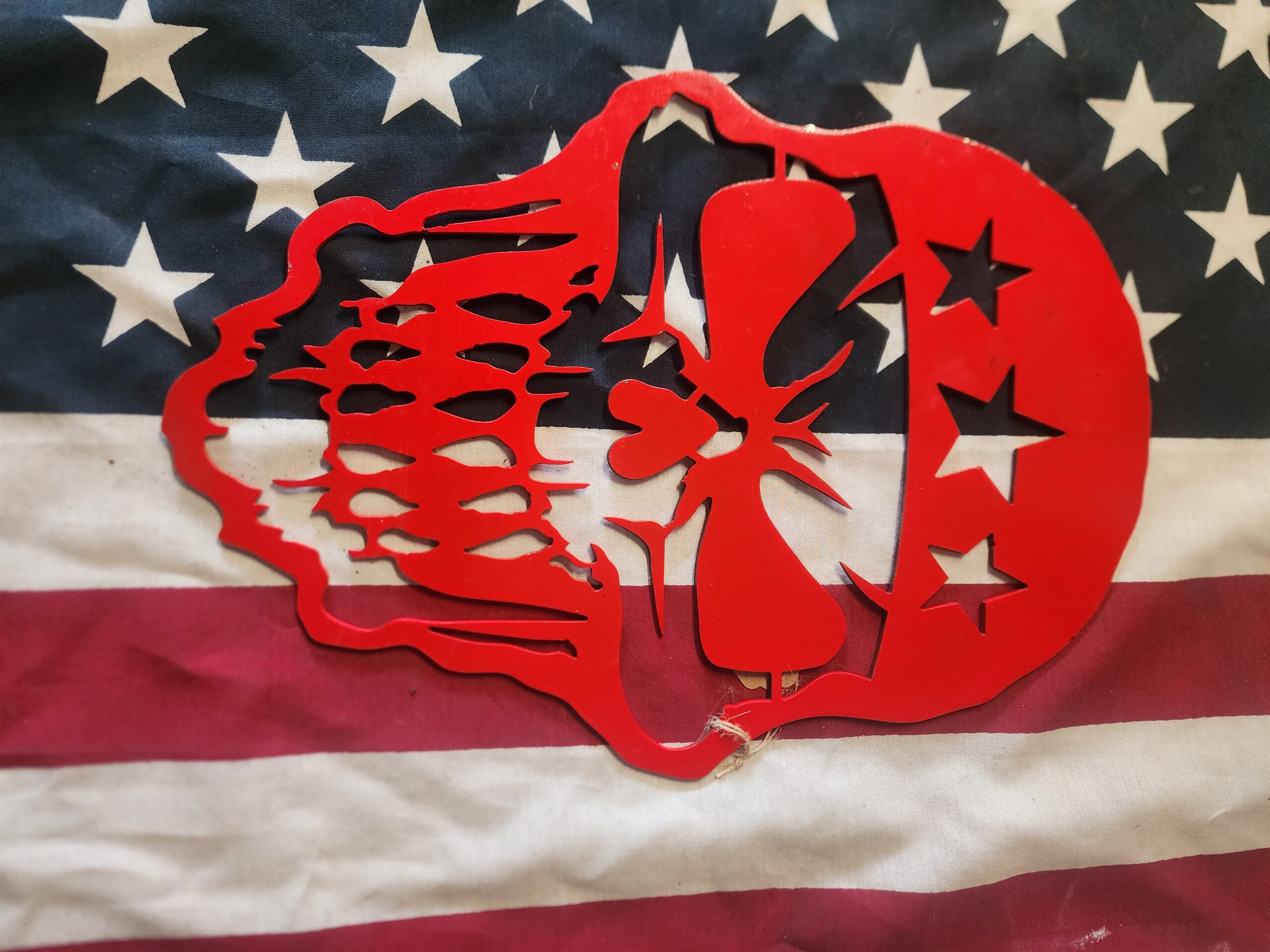RIOT SKULL